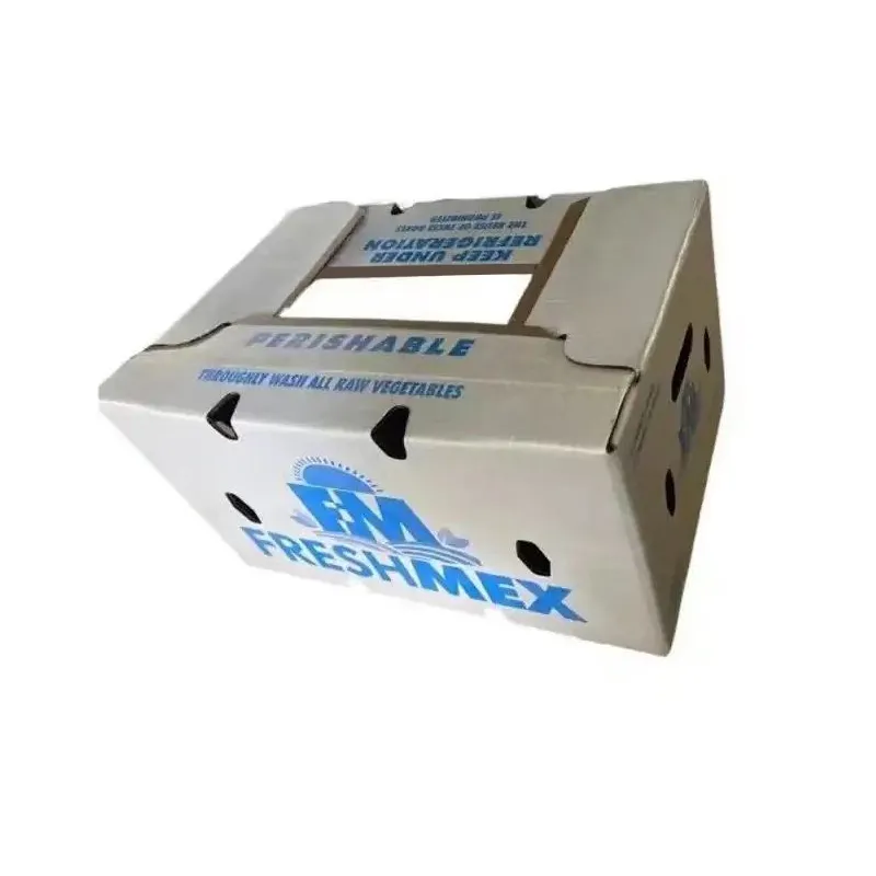 Voščena valovita škatla z logotipom